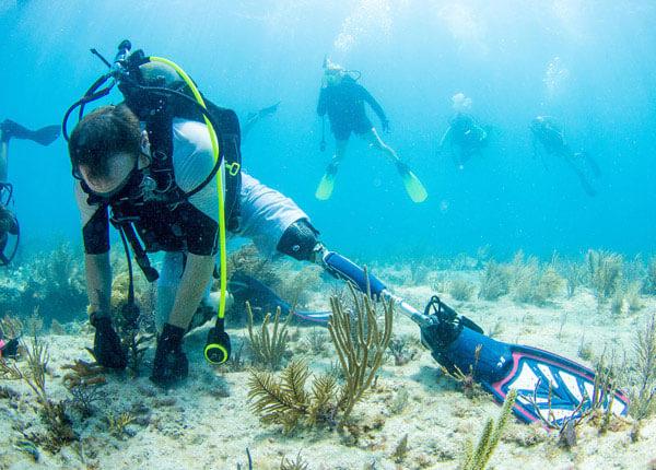 underwater prosthetic research 